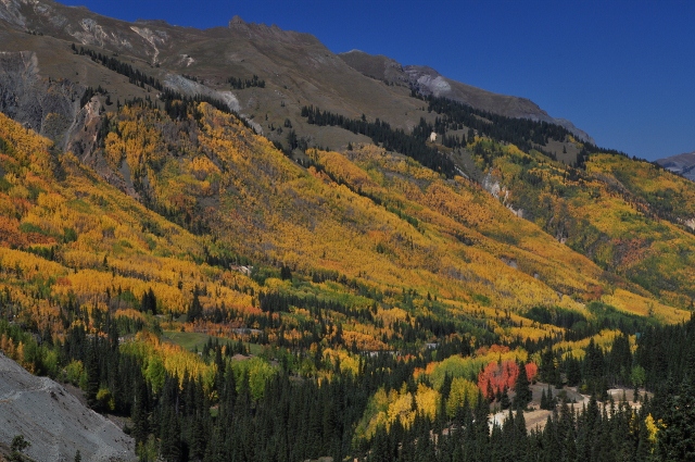 jeep tour to Brown Mountain